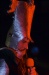 CRW_3332.jpg - 2005:01:29 22:58:06