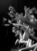CRW_4084.jpg - 2005:02:09 20:52:51