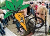 _MG_5561.jpg - 2006:06:10 21:28:25