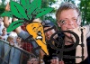 _MG_5351.jpg - 2006:06:10 19:34:47