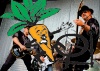_MG_5377.jpg - 2006:06:10 19:47:33