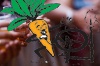_MG_5540.jpg - 2006:06:10 21:24:02