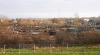 CRW_9413.jpg - 2004:11:29 12:50:01