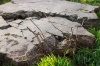 CRW_9421.jpg - 2004:11:29 12:51:41