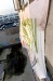 _MG_2292.jpg - 2007:01:13 15:26:42