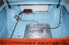 CRW_9248.jpg - 2004:07:31 12:50:06