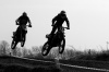 _MG_2689.jpg - 2005:04:16 12:14:40
