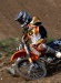 _MG_2463.jpg - 2005:04:16 11:11:57
