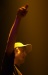 CRW_1590.jpg - 2005:01:14 23:57:12