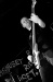 CRW_5982.jpg - 2005:03:04 23:34:07