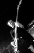 CRW_5994.jpg - 2005:03:04 23:35:06