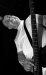 CRW_6201.jpg - 2005:03:05 00:35:12
