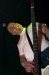 CRW_6199.jpg - 2005:03:05 00:35:11