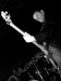CRW_5978.jpg - 2005:03:04 23:33:23