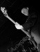 CRW_5977-1.jpg - 2005:03:04 23:33:23