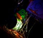 CRW_8415.jpg - 2005:03:20 00:18:22