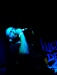 _MG_7379.jpg - 2005:06:24 20:05:44