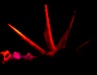 _MG_7587.jpg - 2005:06:24 22:16:36