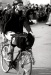_MG_7960.jpg - 2005:06:26 17:53:23