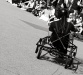 _MG_7873.jpg - 2005:06:26 17:22:26