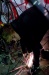 _MG_6911.jpg - 2006:06:22 22:56:31
