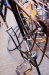_MG_7257.jpg - 2006:06:23 20:57:35