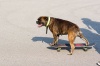 _MG_8071.jpg - 2006:06:25 18:11:16
