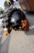 _MG_7960.jpg - 2006:06:25 17:04:42