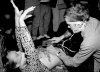 _MG_4546.jpg - 2006:11:19 01:34:31