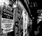 _MG_6787.jpg - 2006:12:09 22:56:09