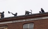 _MG_8252.jpg - 2006:12:14 09:17:44
