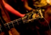 _MG_9056.jpg - 2006:12:15 00:44:53
