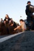 _MG_7466.jpg - 2007:06:12 20:16:40