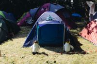 _DSF4659.jpg - 2016:07:21 15:15:49