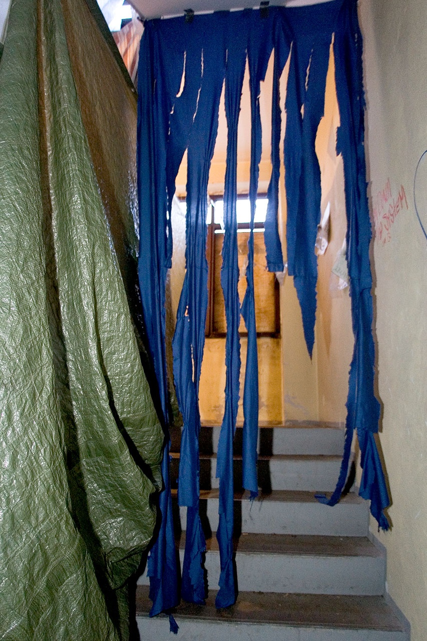 * Image 6